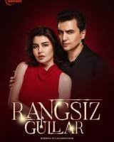 Rangsiz gullar 26-27-28-29 qism Uzbek milliy serial HD skachat